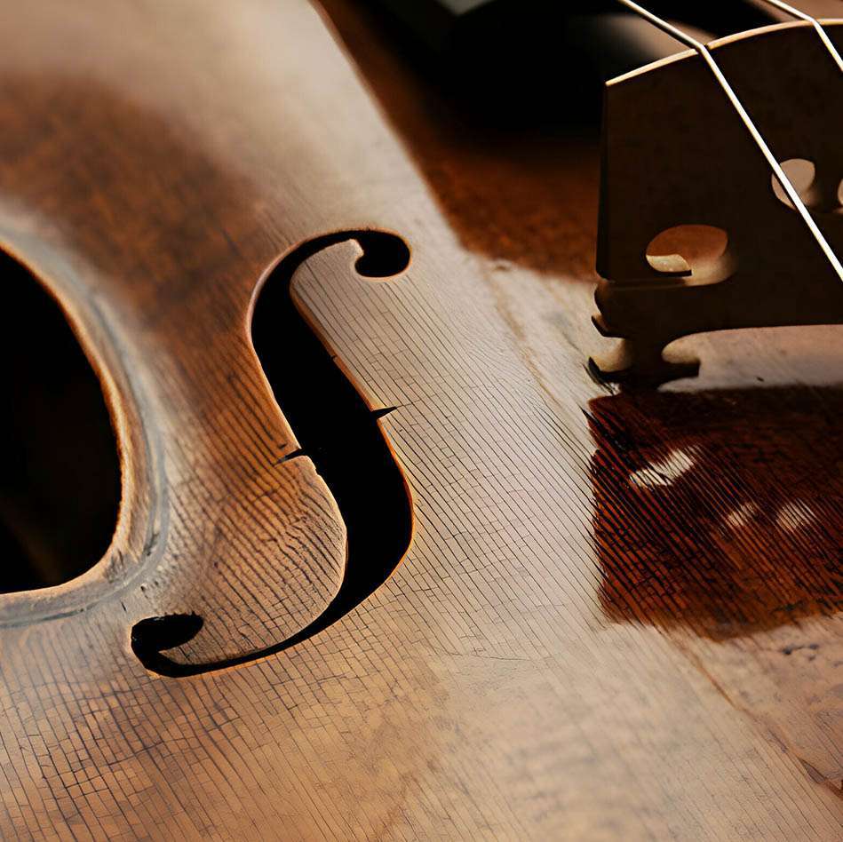 violon Objets de collection