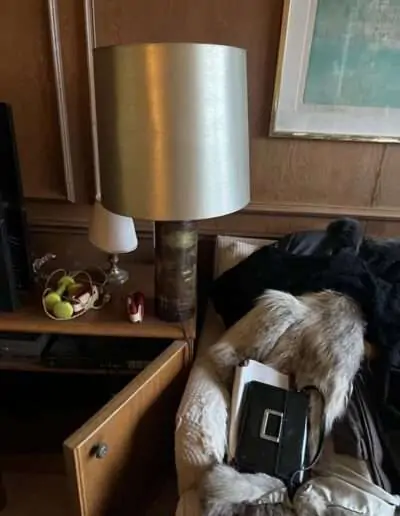 Appartement valorisé – Avenue Victor Hugo, Paris 16e 5 Débarras d'appartement Avenue VIctor Hugo 75016, objets et lampe.