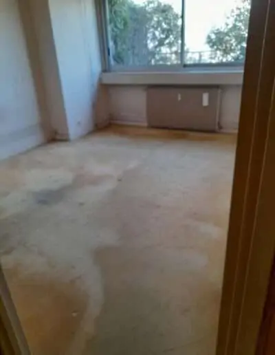 Appartement valorisé – Avenue Victor Hugo, Paris 16e 10 Débarras d'appartement Avenue VIctor Hugo 75016, chambre vide