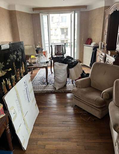 Debarras appartement rue Léon Dierx paris 75015, salon encombré