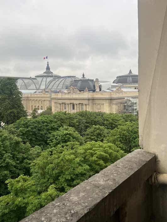 Av. Franklin D. Roosevelt Débarras Paris 8e Grand Palais