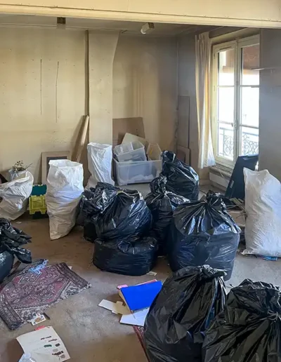 Débarras appartement Rue Monge, Paris 75005, salon 2