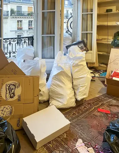 Débarras appartement Rue Monge, Paris 75005, salon 7