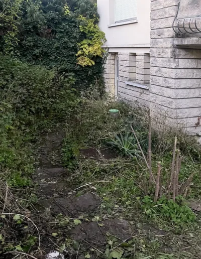 debarras-difficile-squat-20