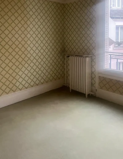 Débarras Rue Duvivier, Paris 75007, Salon vide 1