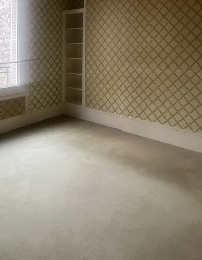 Débarras Rue Duvivier, Paris 75007, Salon vide 2