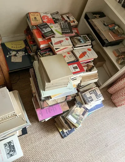 Débarras Rue Palatine, Livres 1