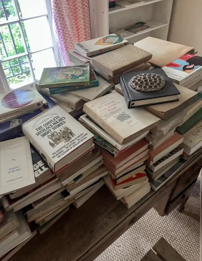 Débarras Rue Palatine, Livres 2