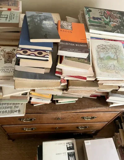 Débarras Rue Palatine, Livres 3
