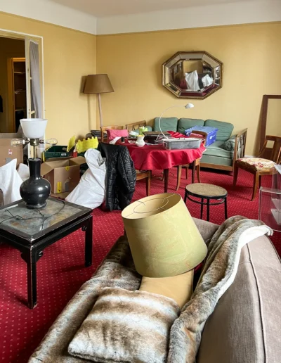 Débarras appartement, Avenue du Maréchal Lyautey Paris 75016, Salon 5