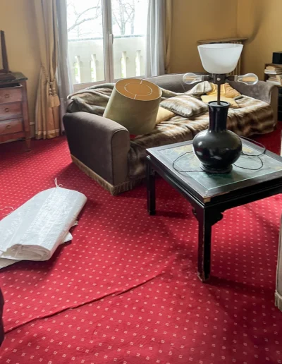 Débarras appartement, Avenue du Maréchal Lyautey Paris 75016, Salon 8
