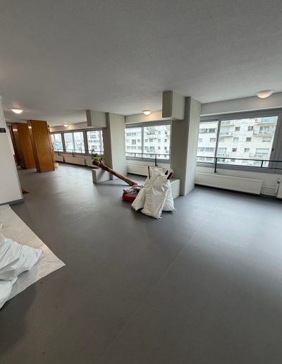 débarras triplex et ses deux caves avec protection parties communes